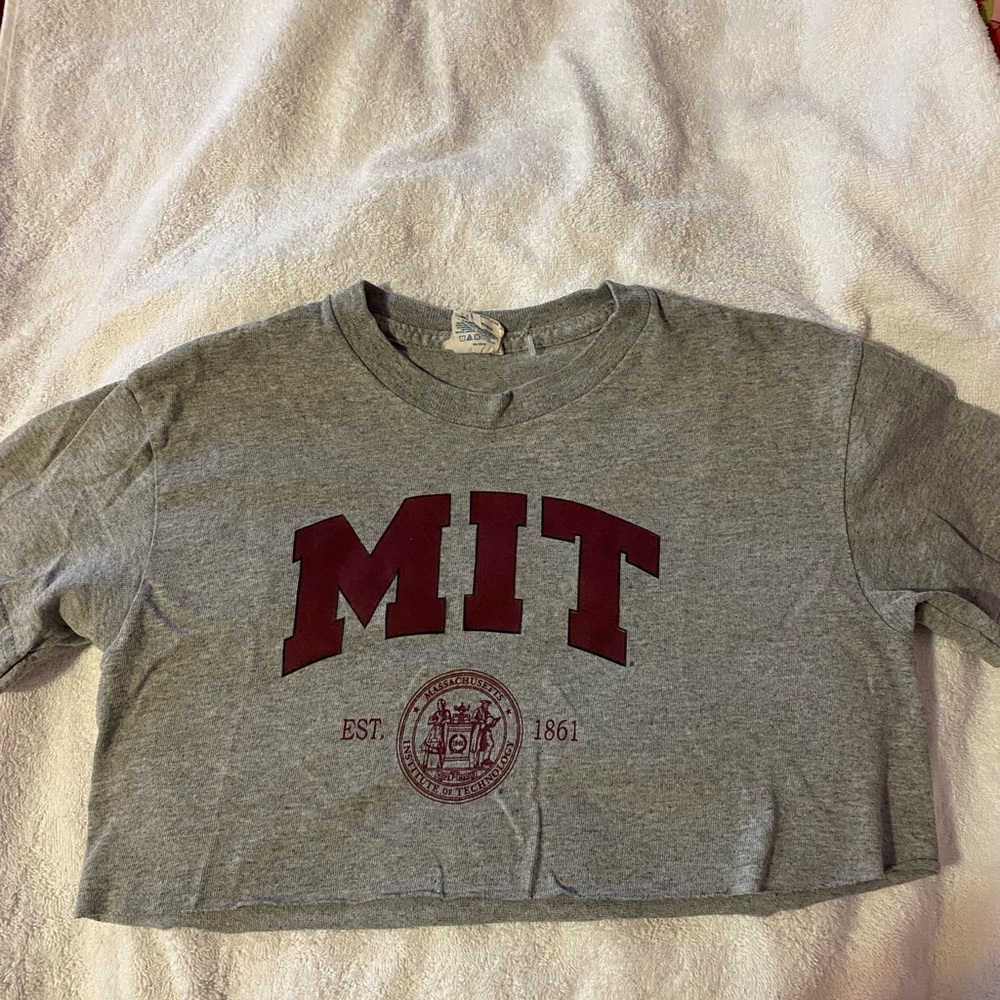 MIT cropped top